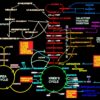 Glycolysis 